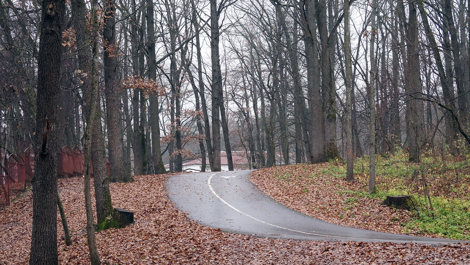 Окончание рабочей недели в Белгородской области пройдёт без дождя