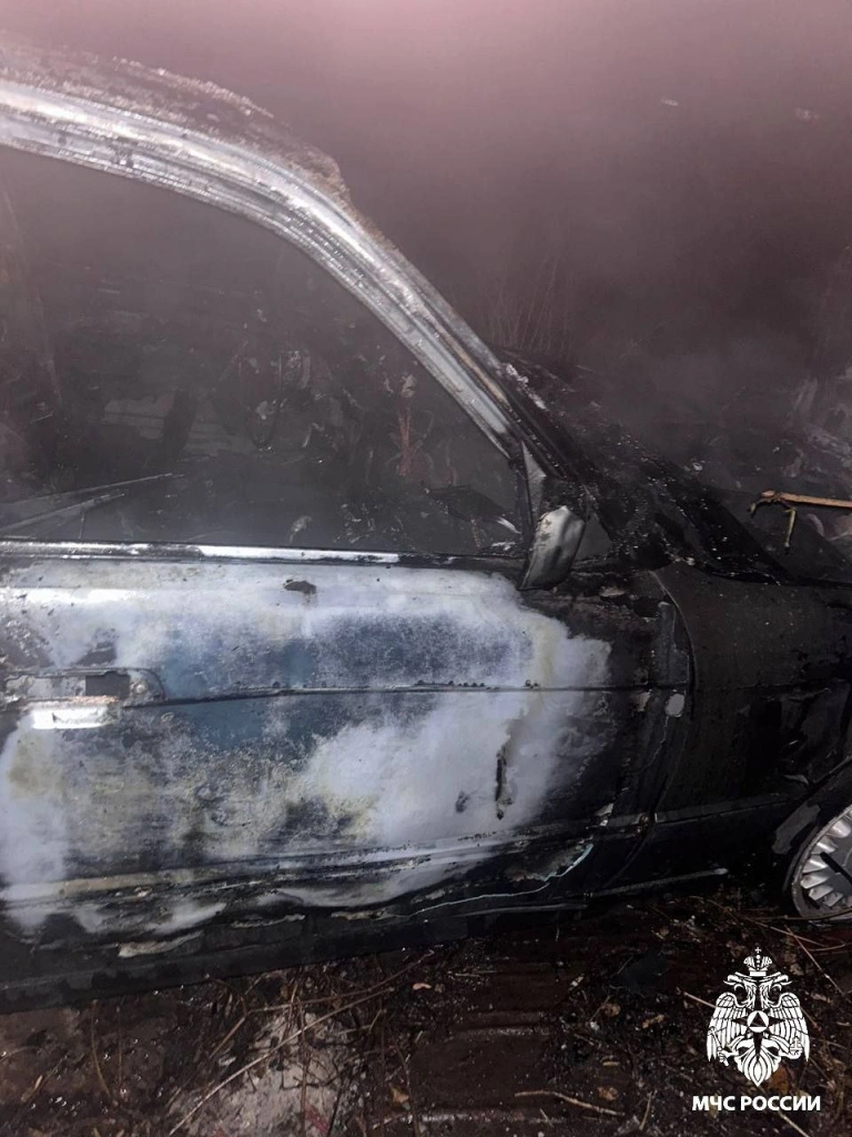 photo_2024-12-01_11-42-19.jpg photo_2024-12-01_11-42-19.jpg