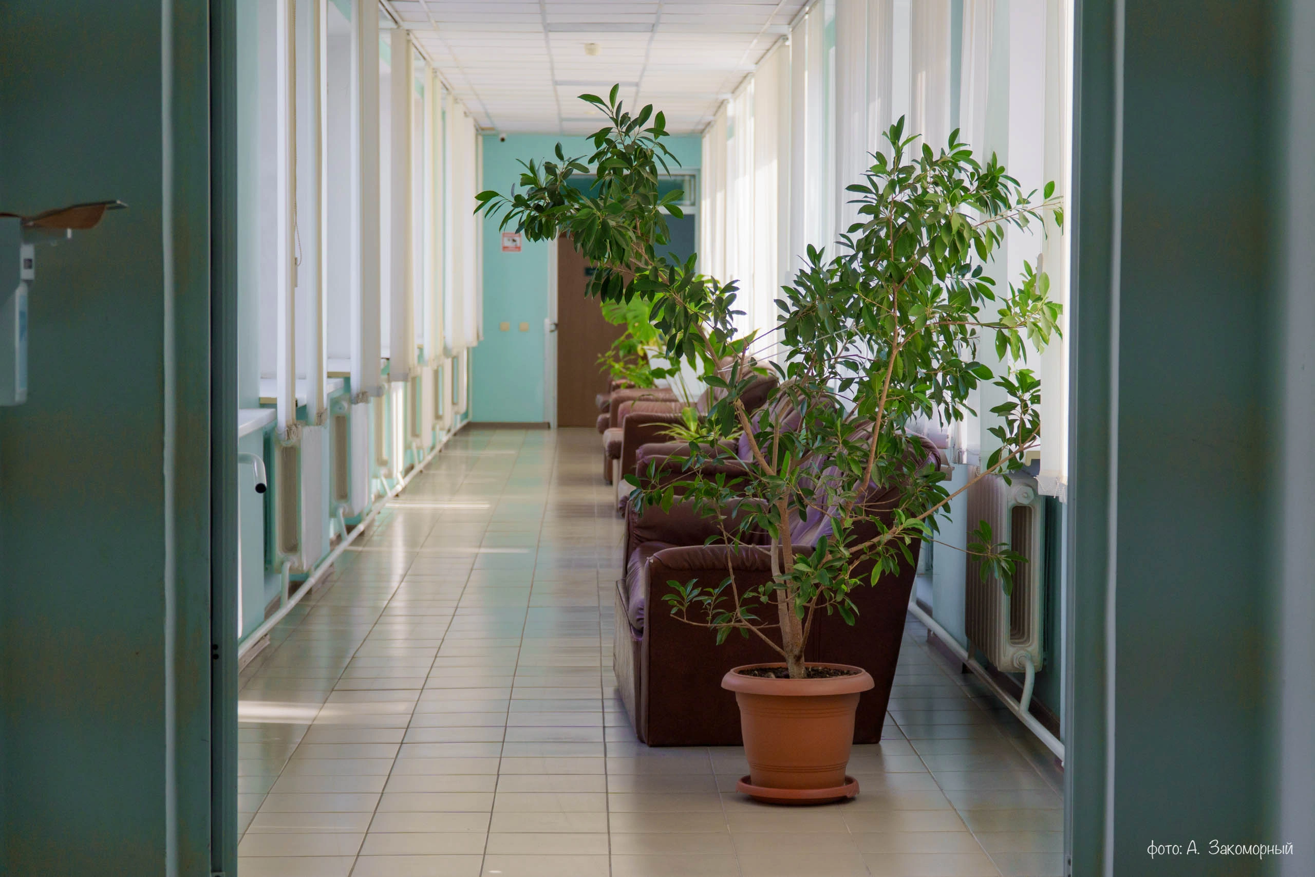 medik009-224.jpg medik009-224.jpg