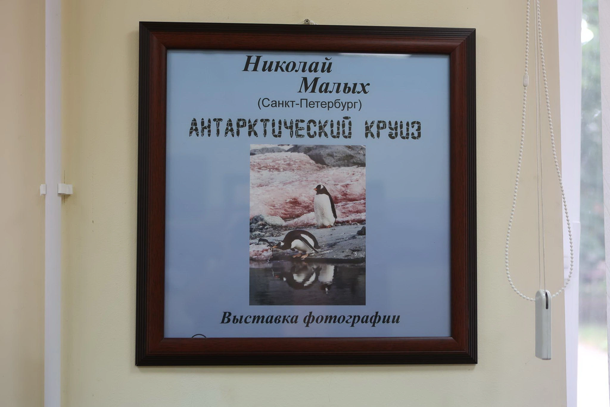 AVER0460.jpg AVER0460.jpg