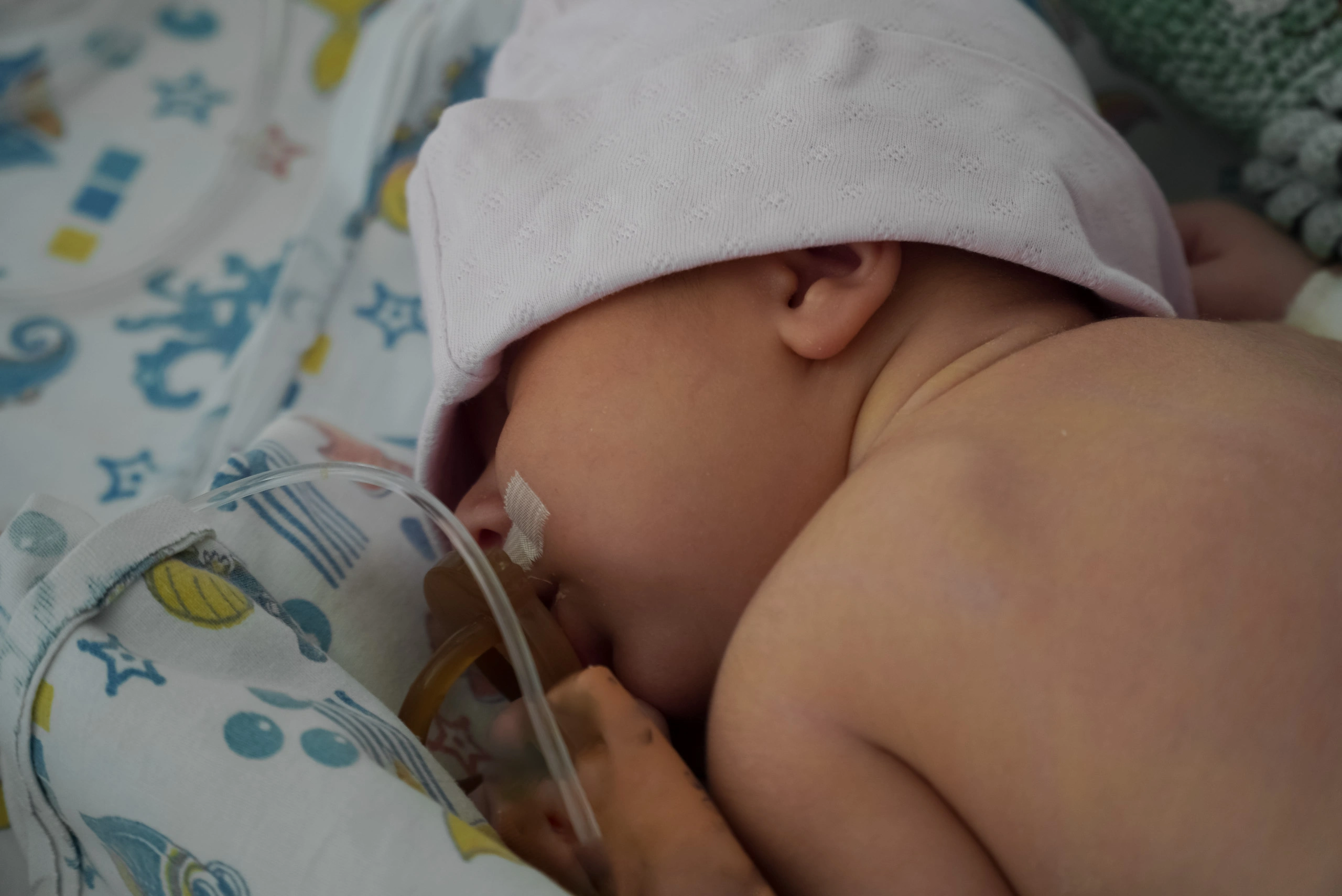 1-0016.jpg 1-0016.jpg