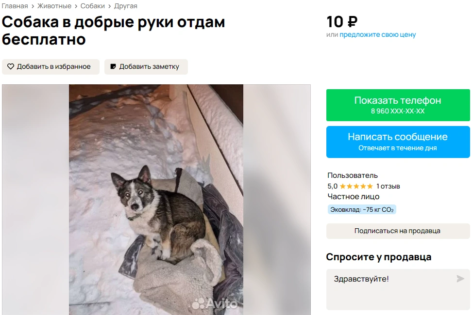 2024-03-27_11-57-34.png 2024-03-27_11-57-34.png