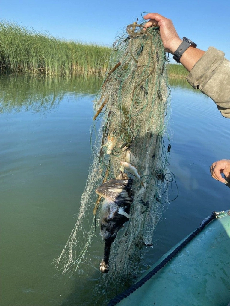 iNAVoXPWePI.jpg iNAVoXPWePI.jpg