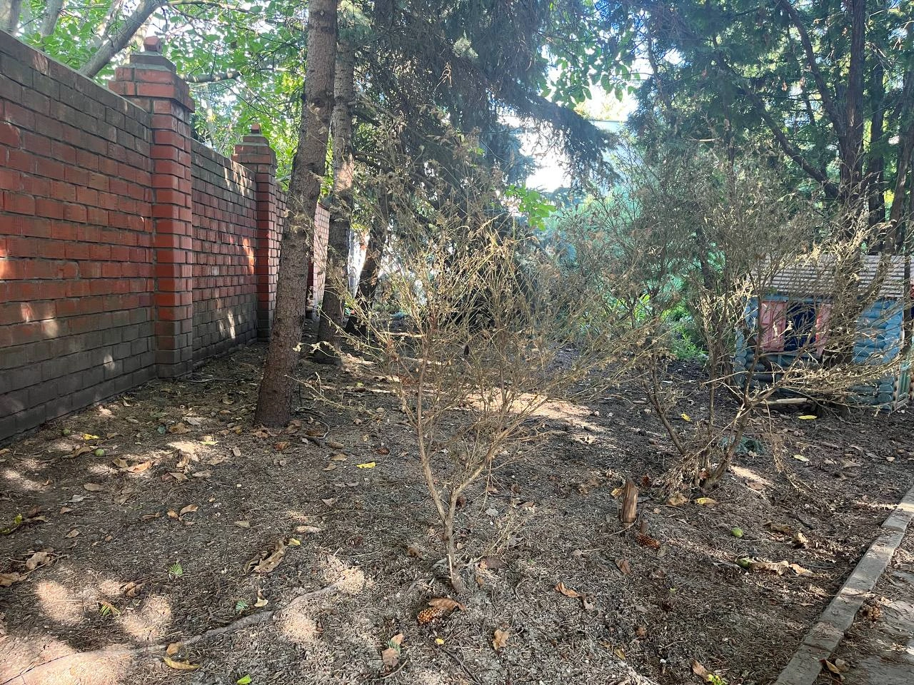 photo_5422566588713913629_y.jpg photo_5422566588713913629_y.jpg