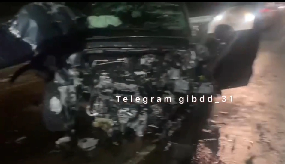 IMG_3491.jpeg IMG_3491.jpeg