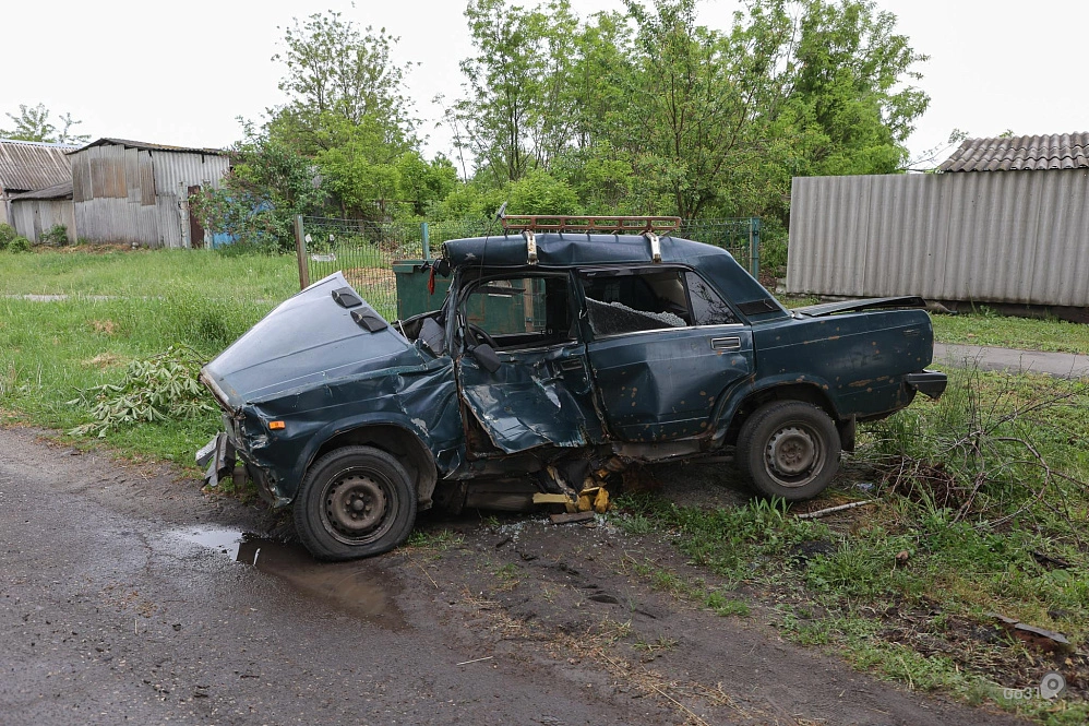 09. ДРГ.jpg 09. ДРГ.jpg