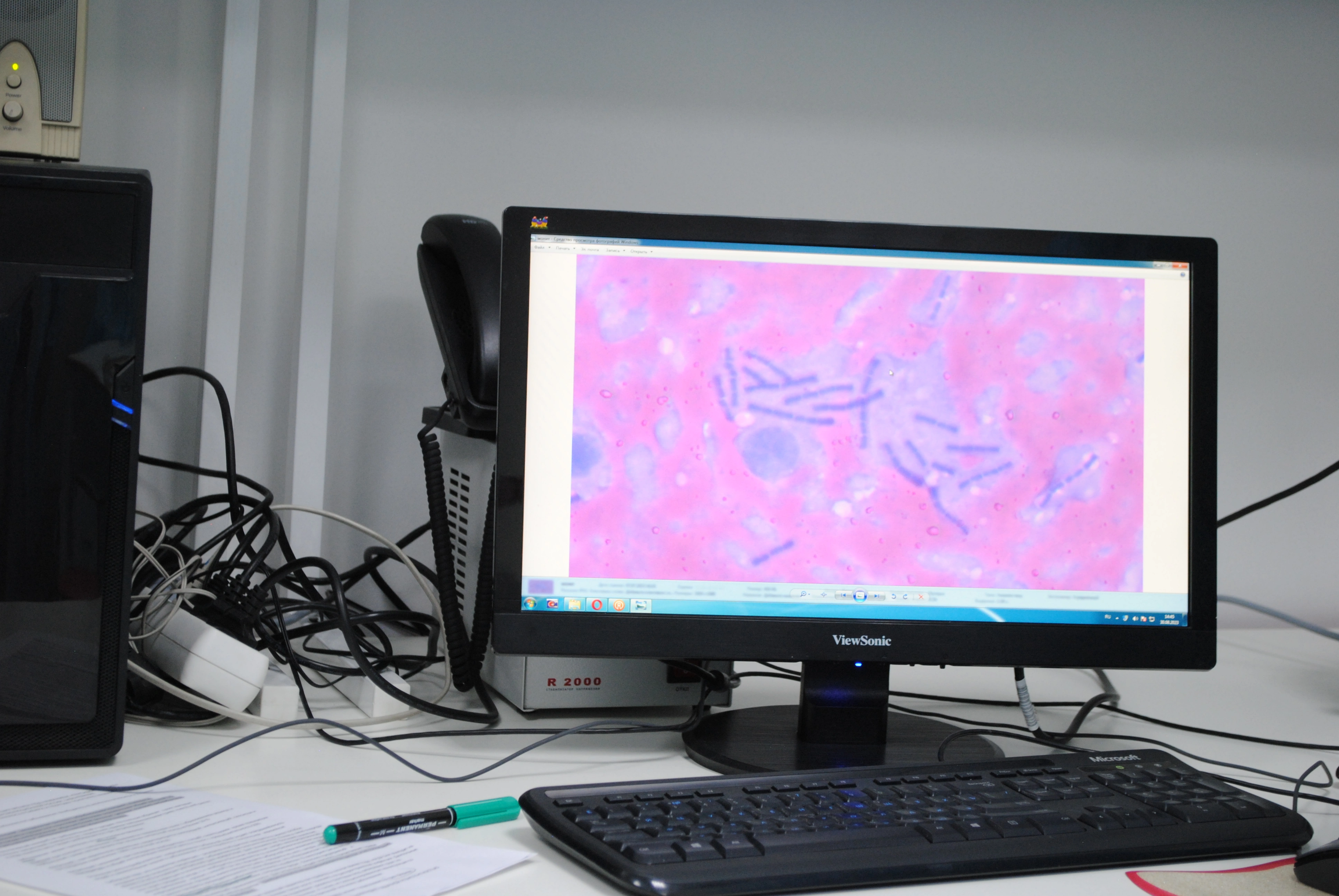 DSC_0023.JPG DSC_0023.JPG