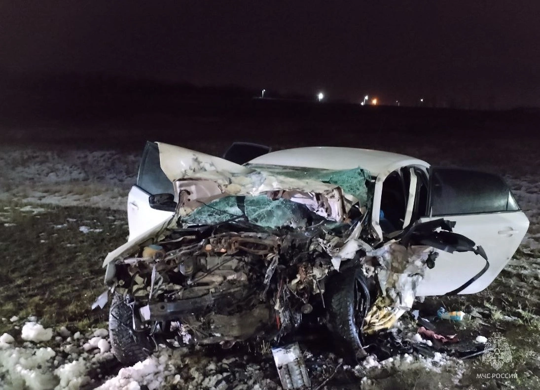 photo_5411385354323349269_y.jpg photo_5411385354323349269_y.jpg