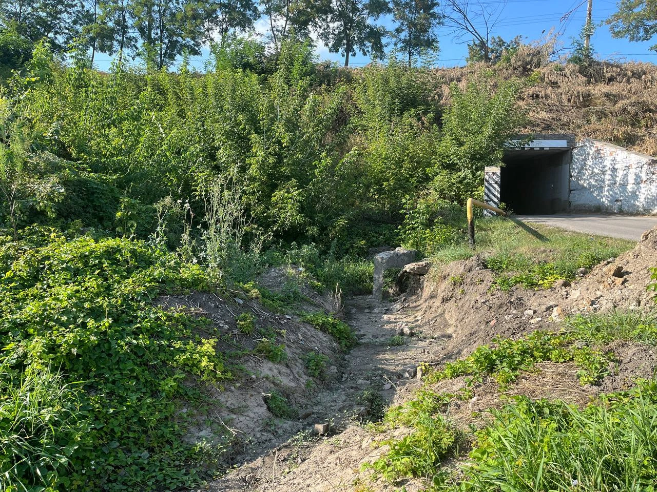 photo_5422566588713913627_y.jpg photo_5422566588713913627_y.jpg