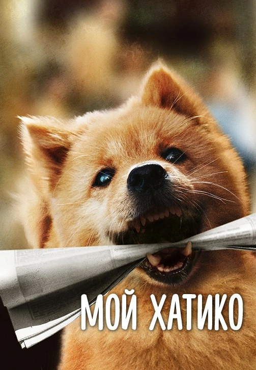 DSC00396.JPG DSC00396.JPG