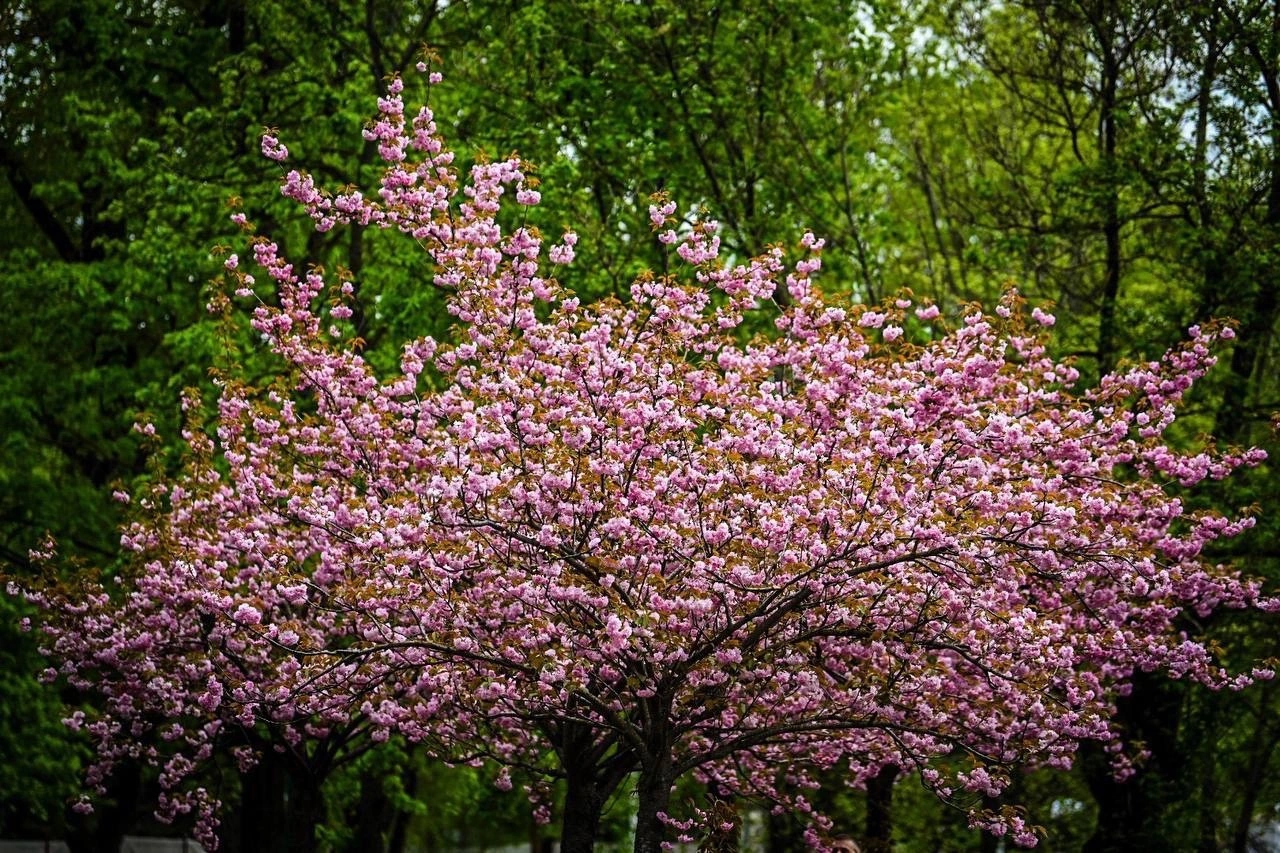 PN1jpMi96ok.jpg PN1jpMi96ok.jpg