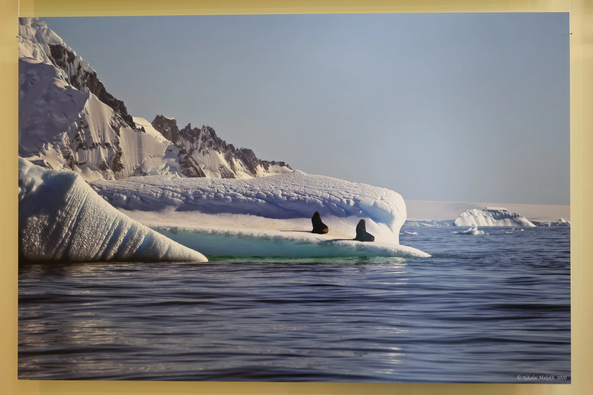 AVER0463.jpg AVER0463.jpg