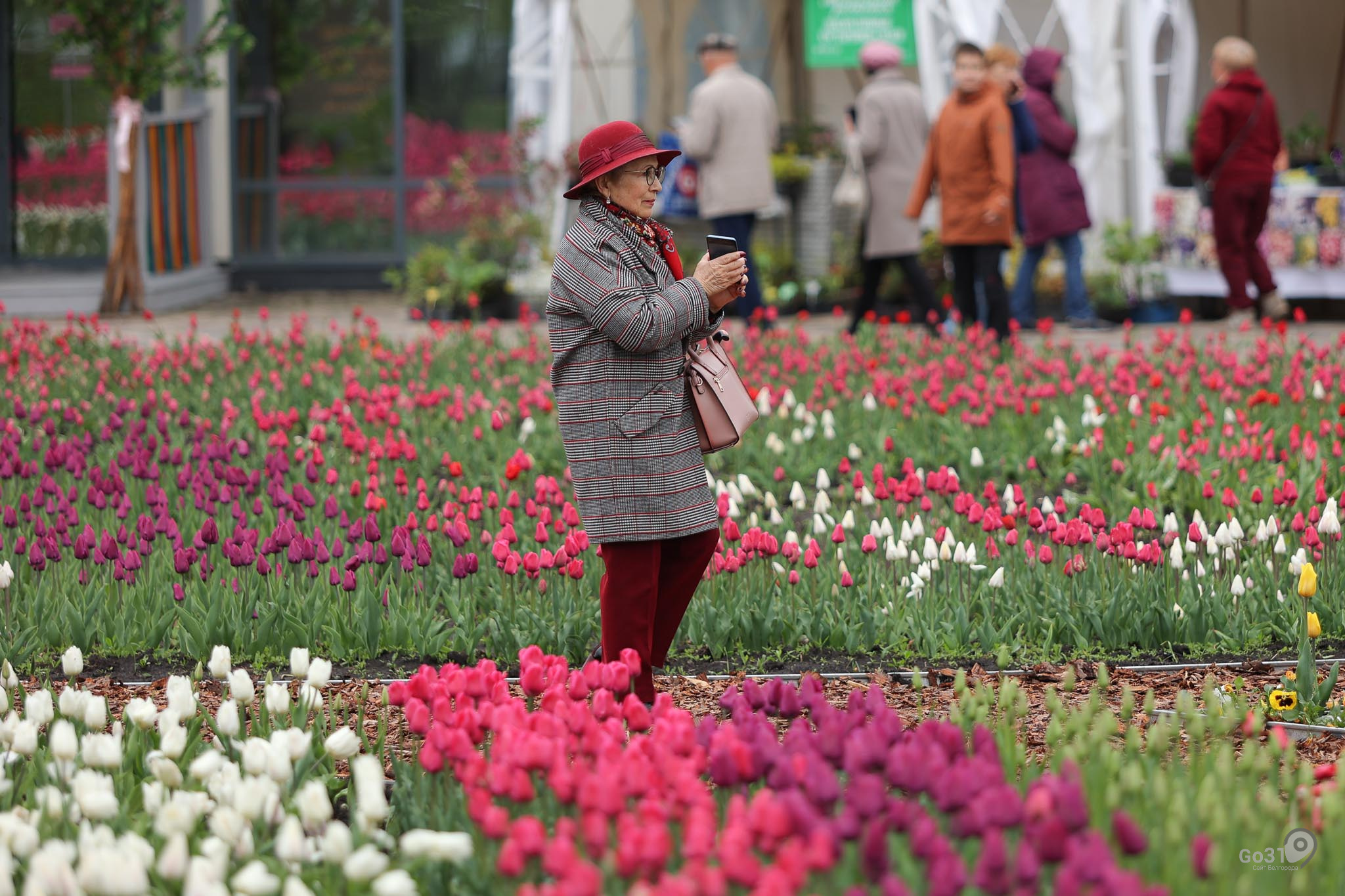 белгород фестиваль цветов 2023 фото