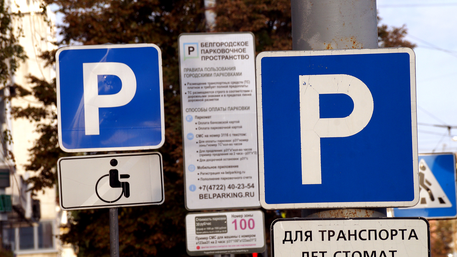 
                     На майских праздниках в Белгороде парковки станут бесплатными 
                