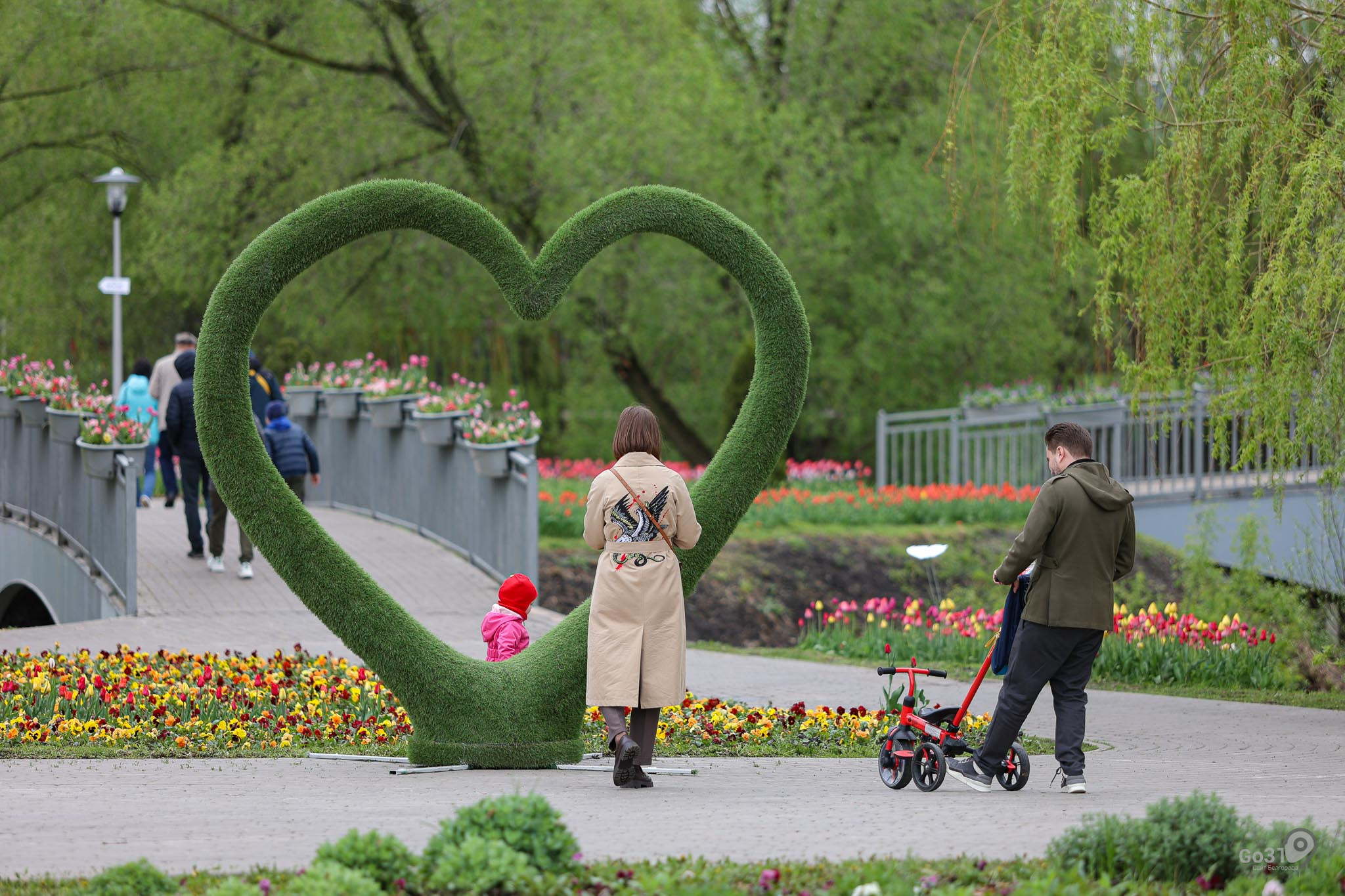 белгород фестиваль цветов 2023 фото