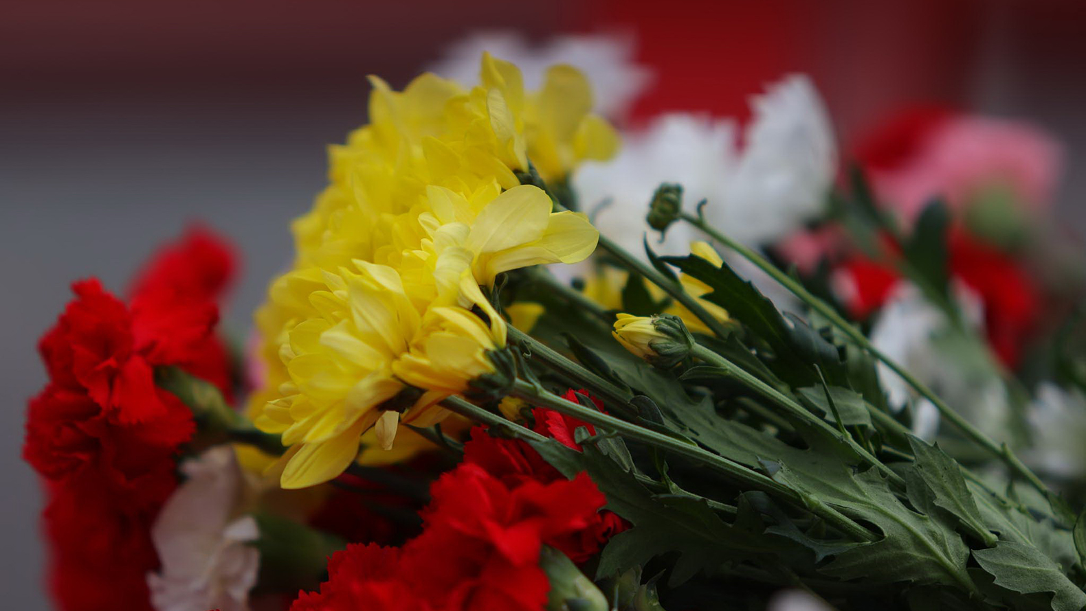 
                     Для белгородской думы покупают свежесрезанные цветы на полмиллиона рублей 
                