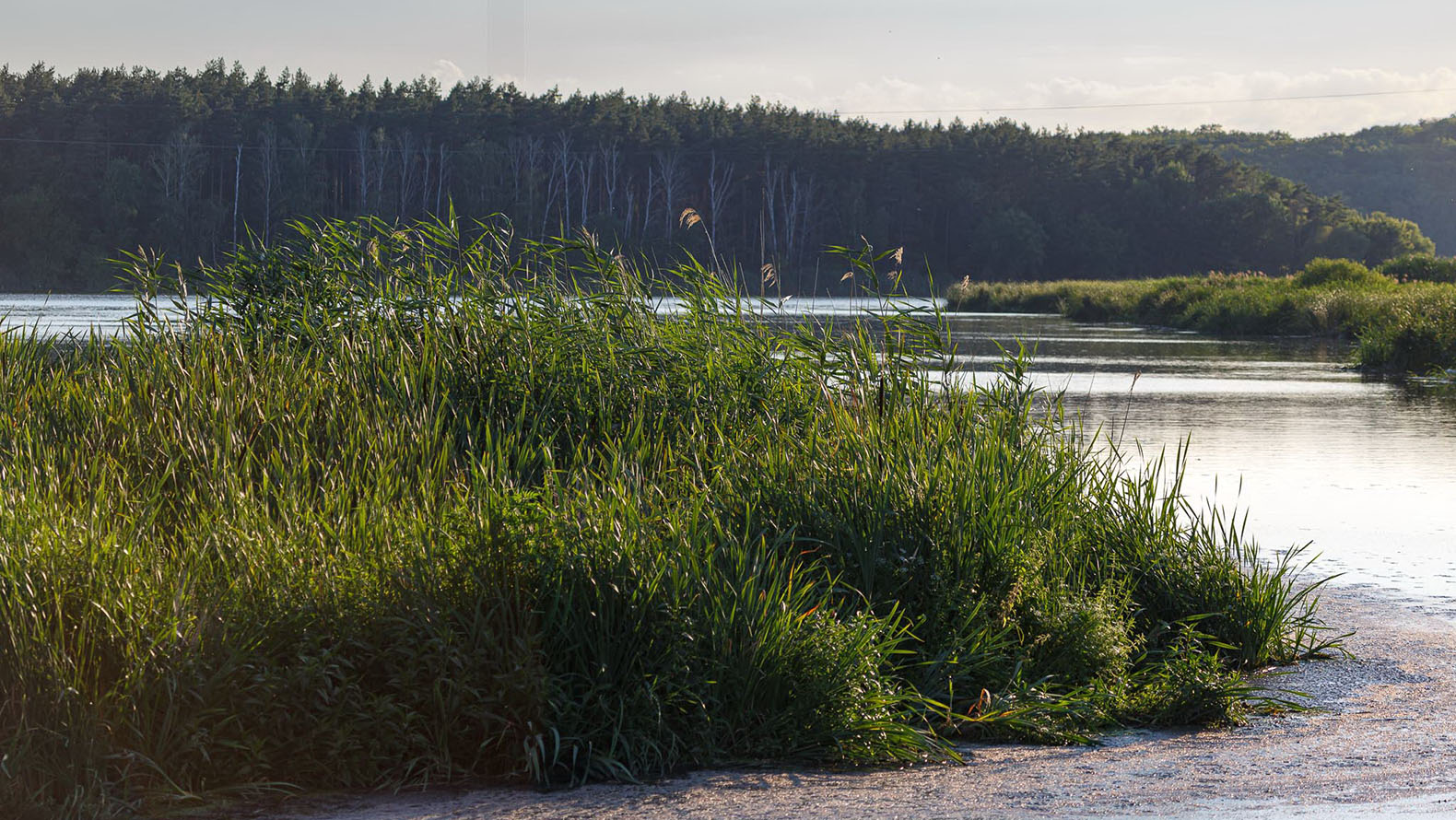 
                     Расчистка рек в Белгородской области выполнена на 16 % 
                