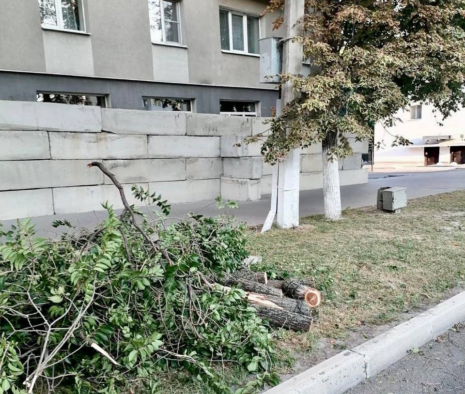 
                     От урагана в Белгородской области пострадали автомобили и жилой дом 
                
