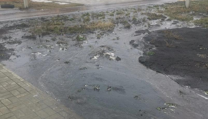 
                     В Никольском под Белгородом затопило участок из-за открытых водопроводчиками кранов 
                