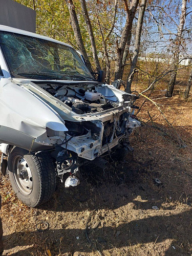 Фото: соцсети Вячеслава Гладкова