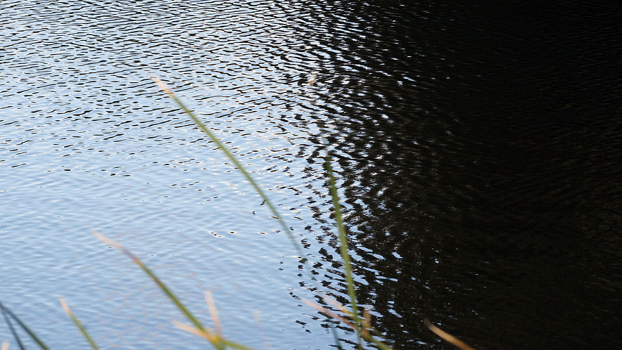 Фото: Сергей Егоров